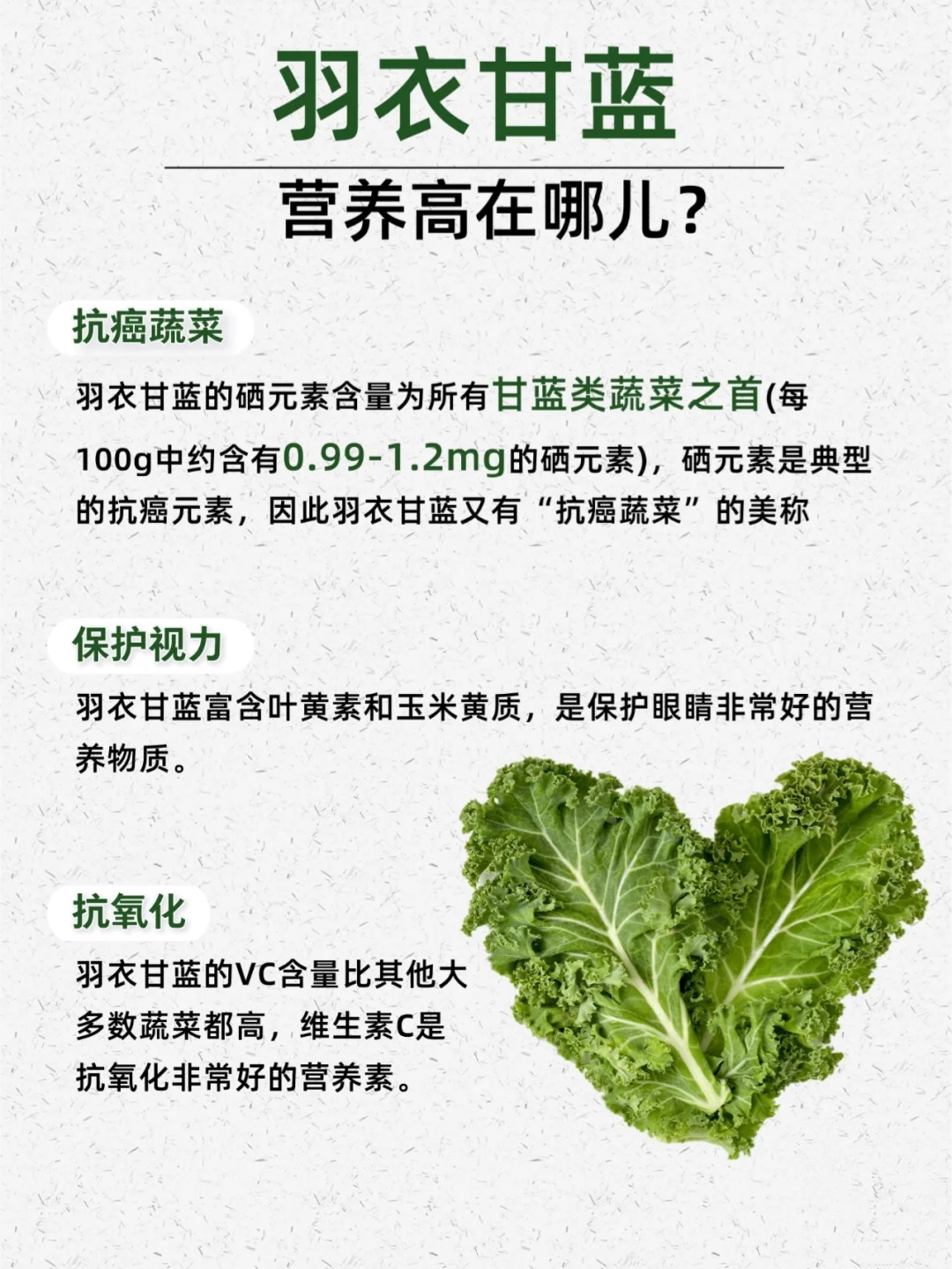 羽衣甘蓝的营养价值