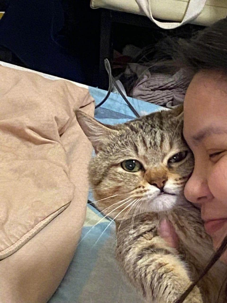 猫咪一副视死如归的表情.