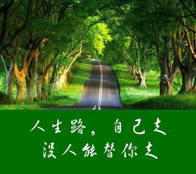 苍天,我的人生何去何从