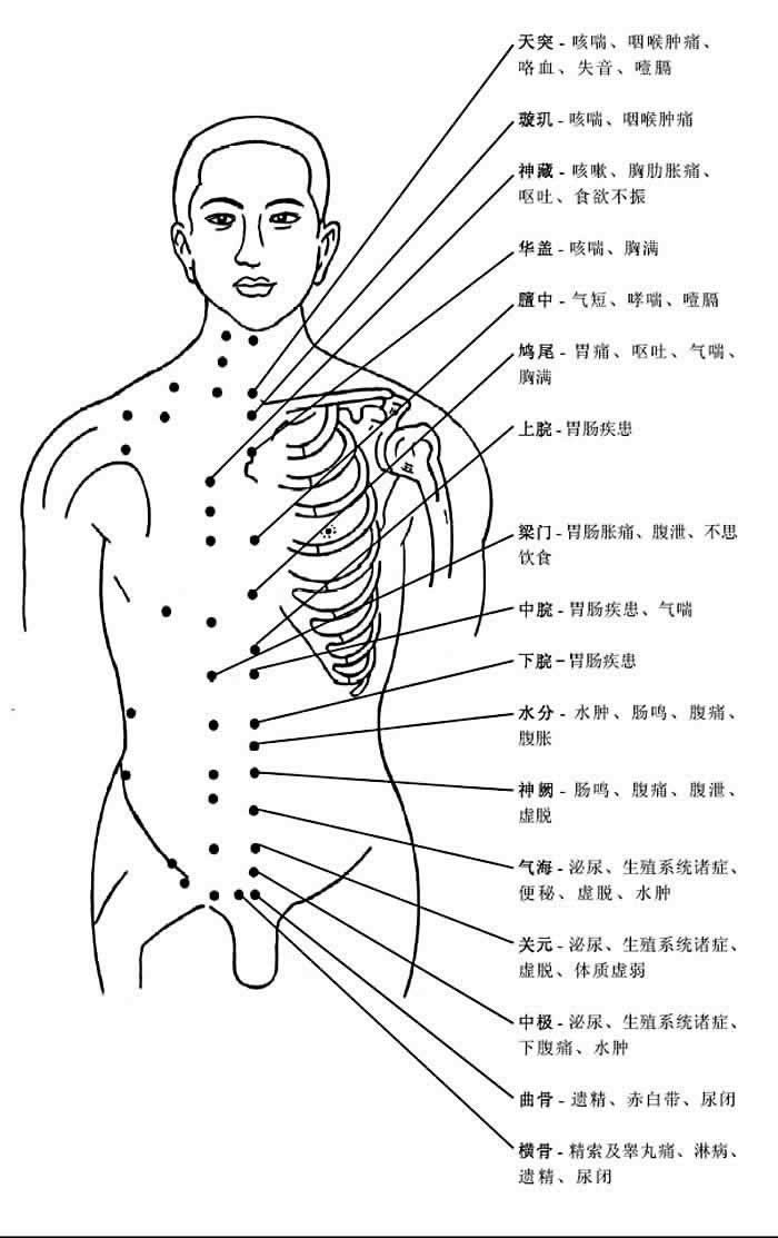 采集于《人体经络》里的一些短语