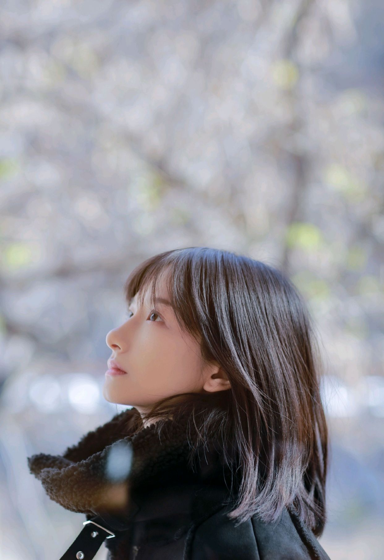 明星写真美图|苏妙玲