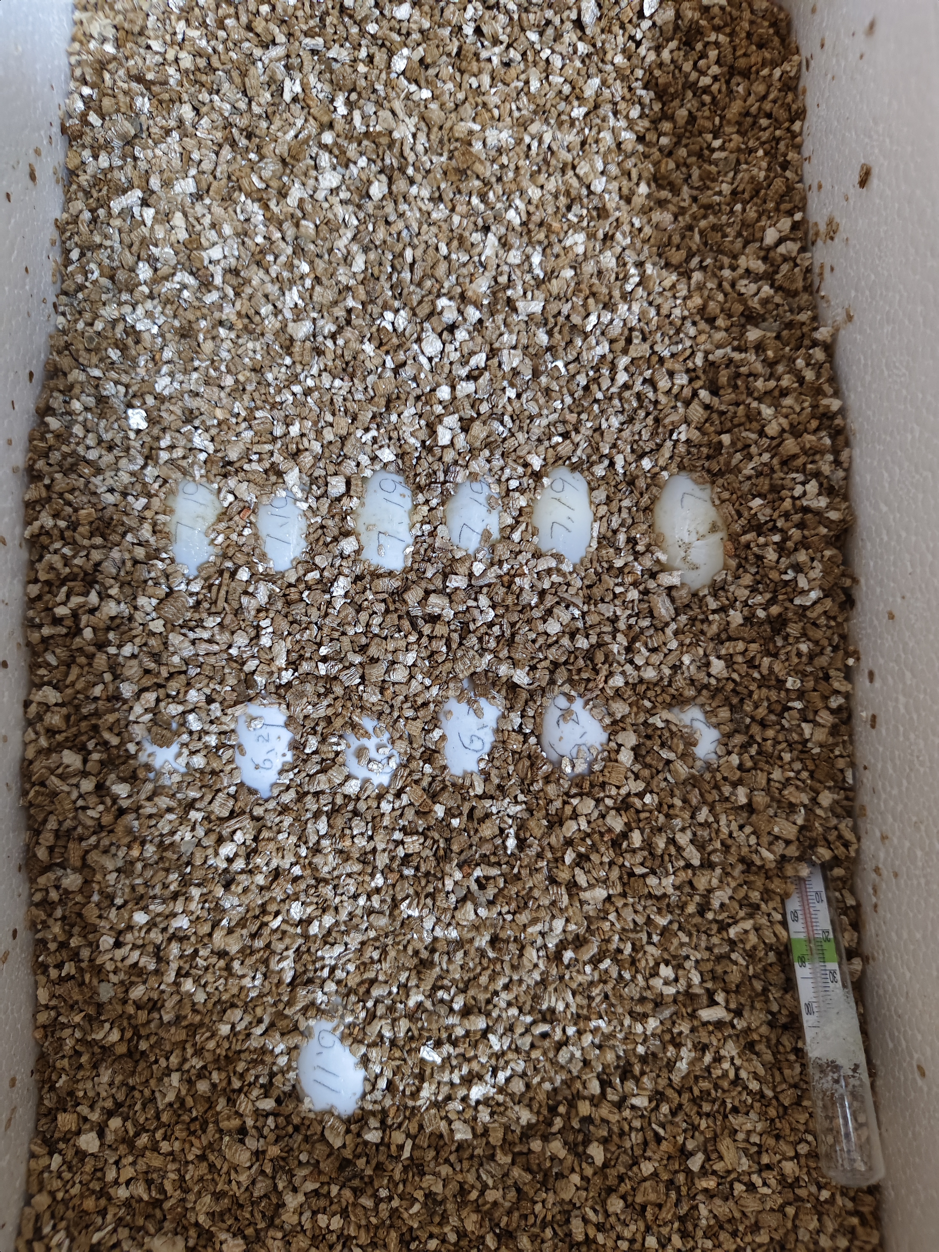 两个不出意外的意外