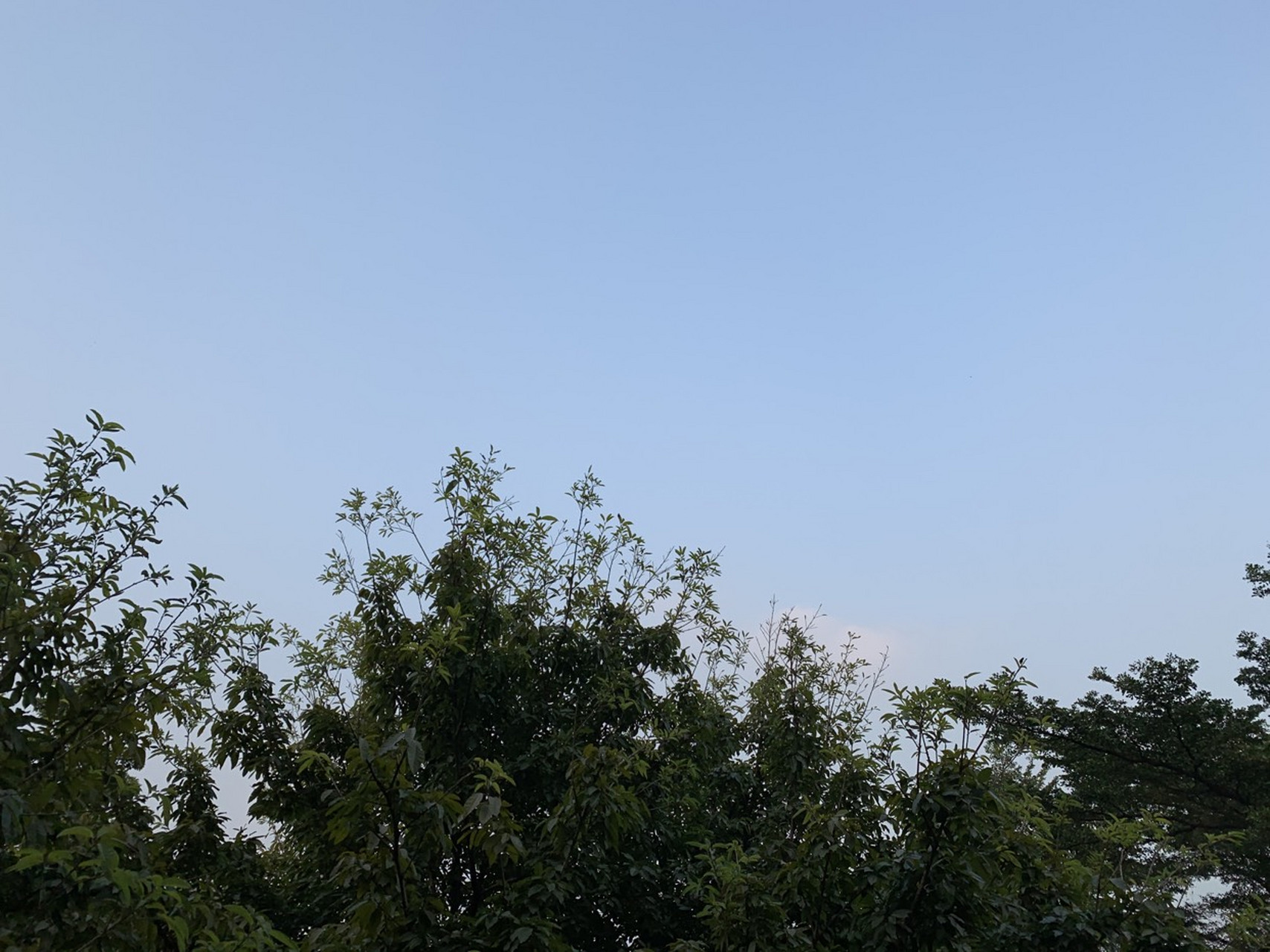 坐在阳台,仰视天空.