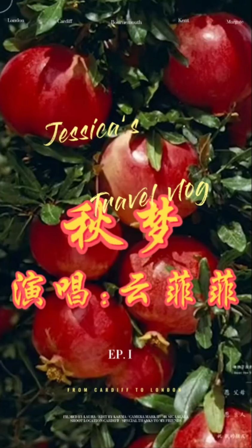 云菲菲演唱的《秋梦》这首歌好听