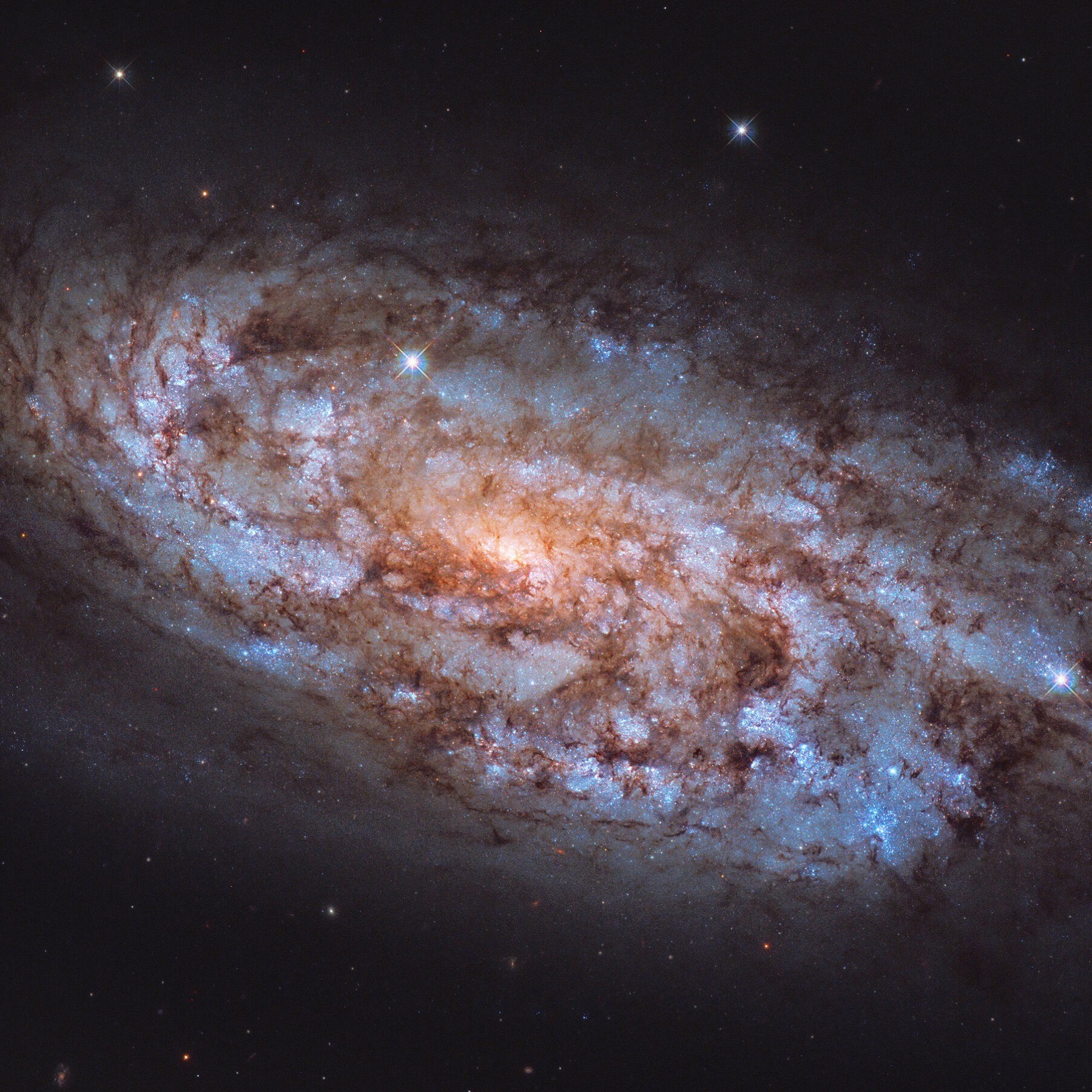 天鸽座星爆星系