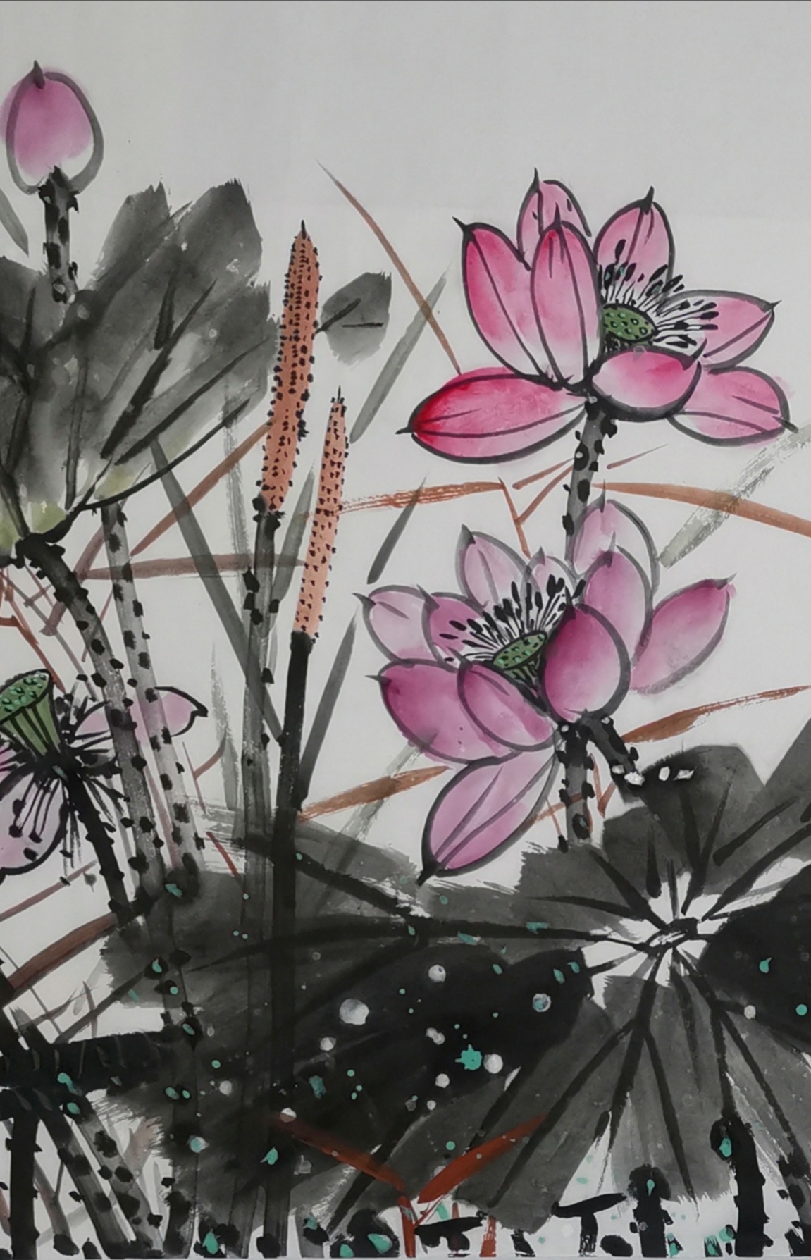 漂亮的蒲棒入画,在国画作品中经常见到