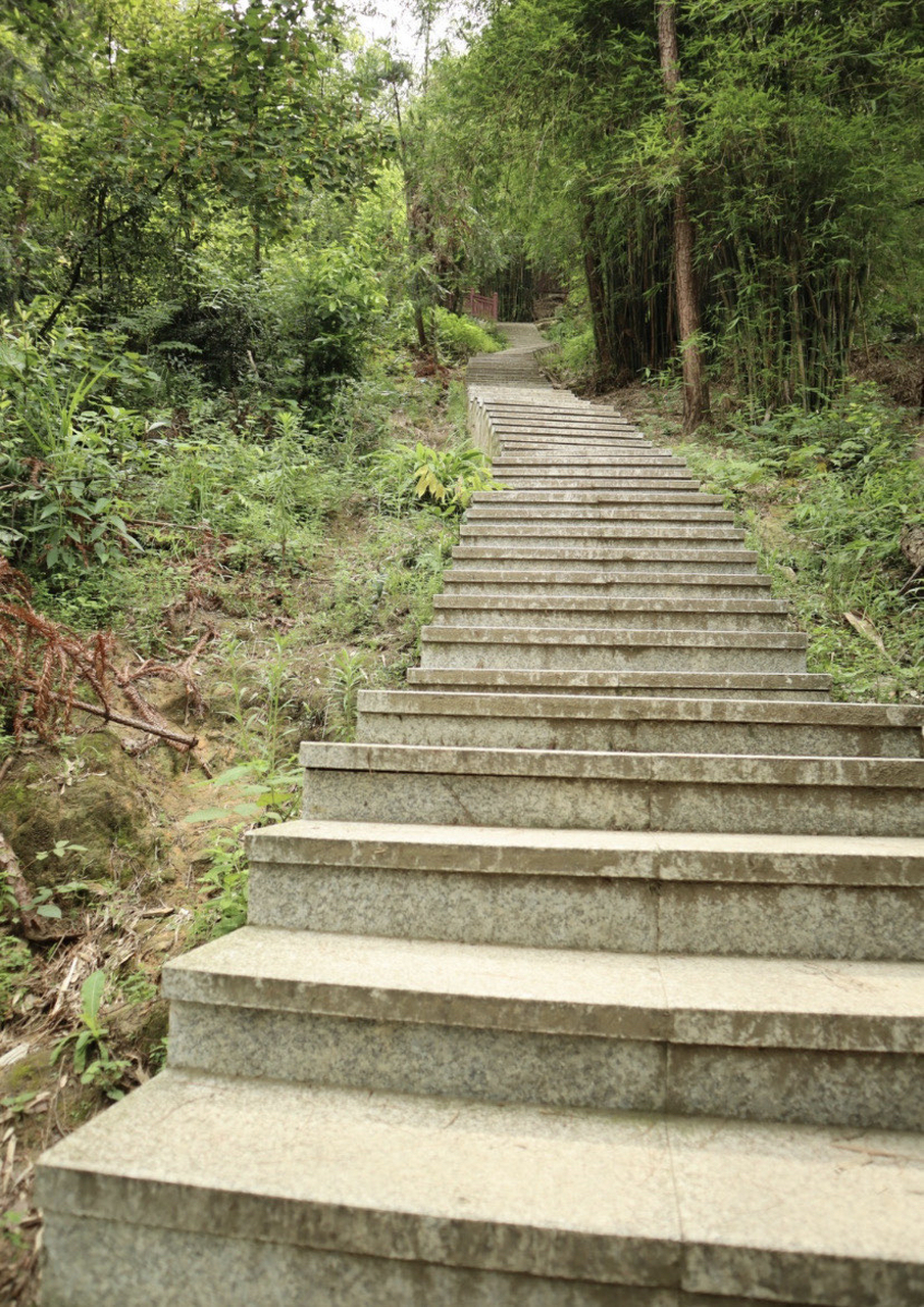 金剑山森林公园,位于重庆市璧山区,是一座以森林景观为主的山地公园.