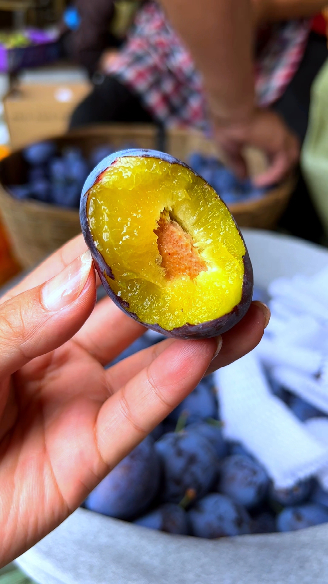 自然成熟的西梅,果肉黄色,散发着迷人香味