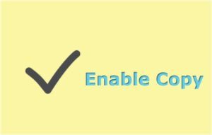 Enable Copy 轻量级右键解锁扩展