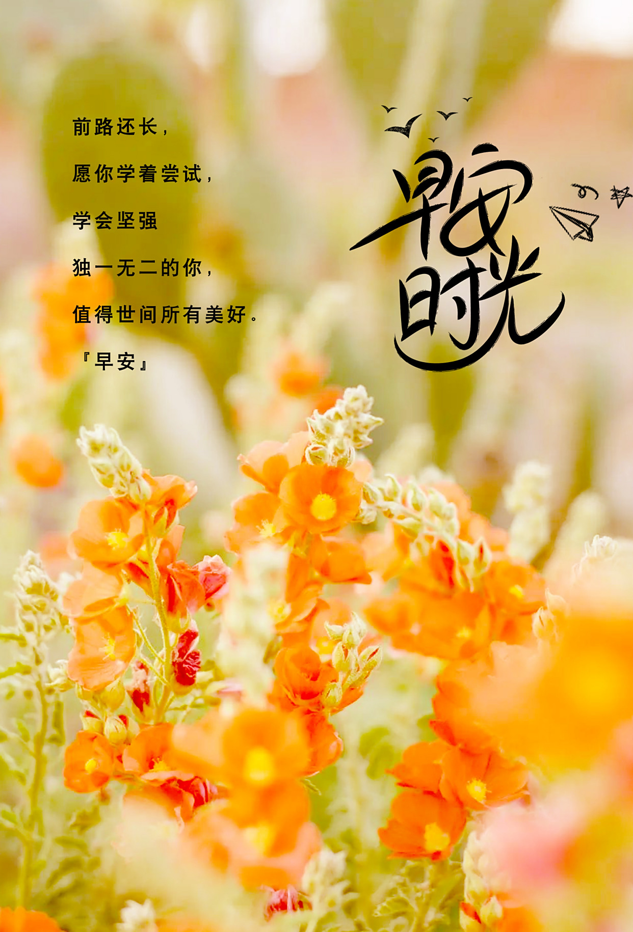 适合发朋友圈早安的句子,句句金玉良言,早看早受益!