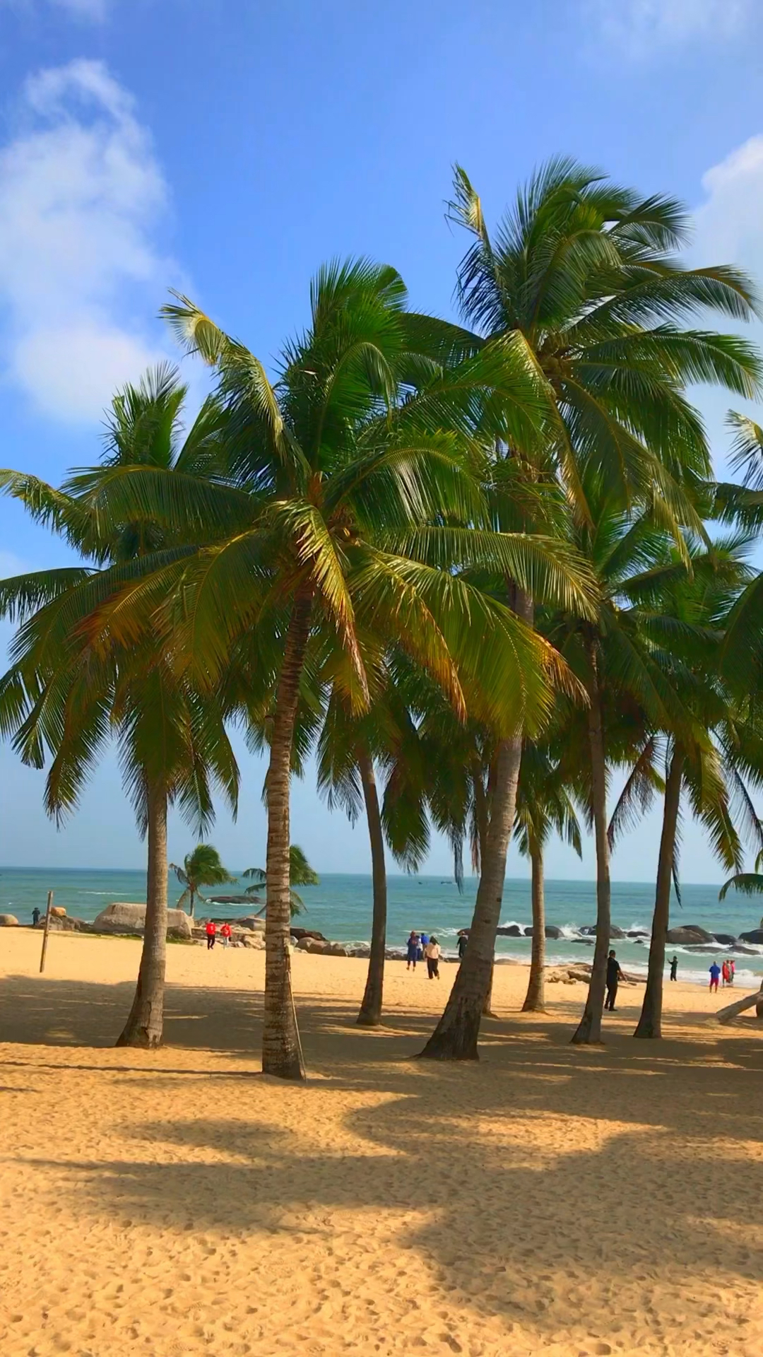 想不到海南文昌的淇水湾竟然有如此美丽的椰风海韵