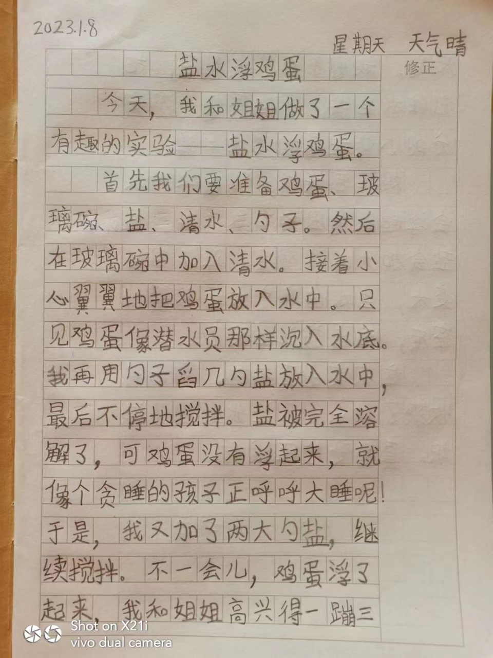 寒假周记《盐水浮鸡蛋》《糖罐子》