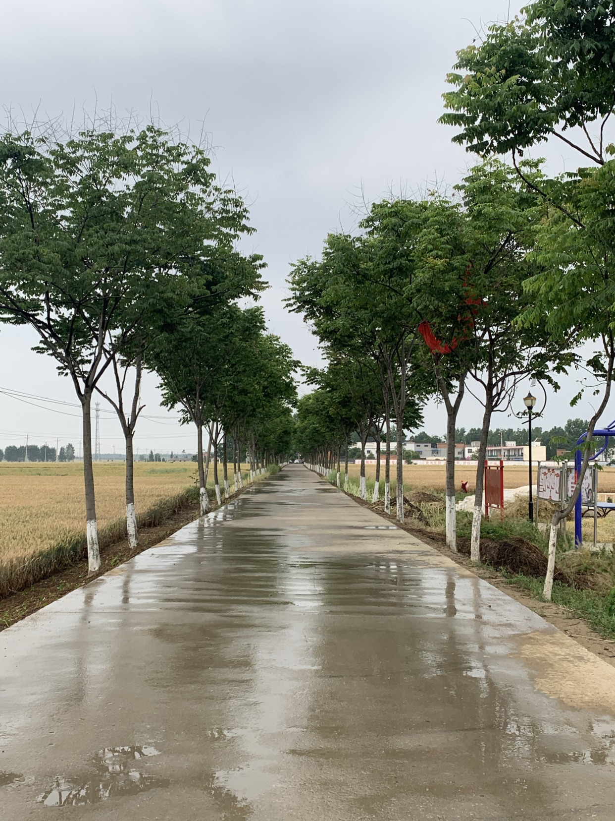 邓州市张村镇照片集锦