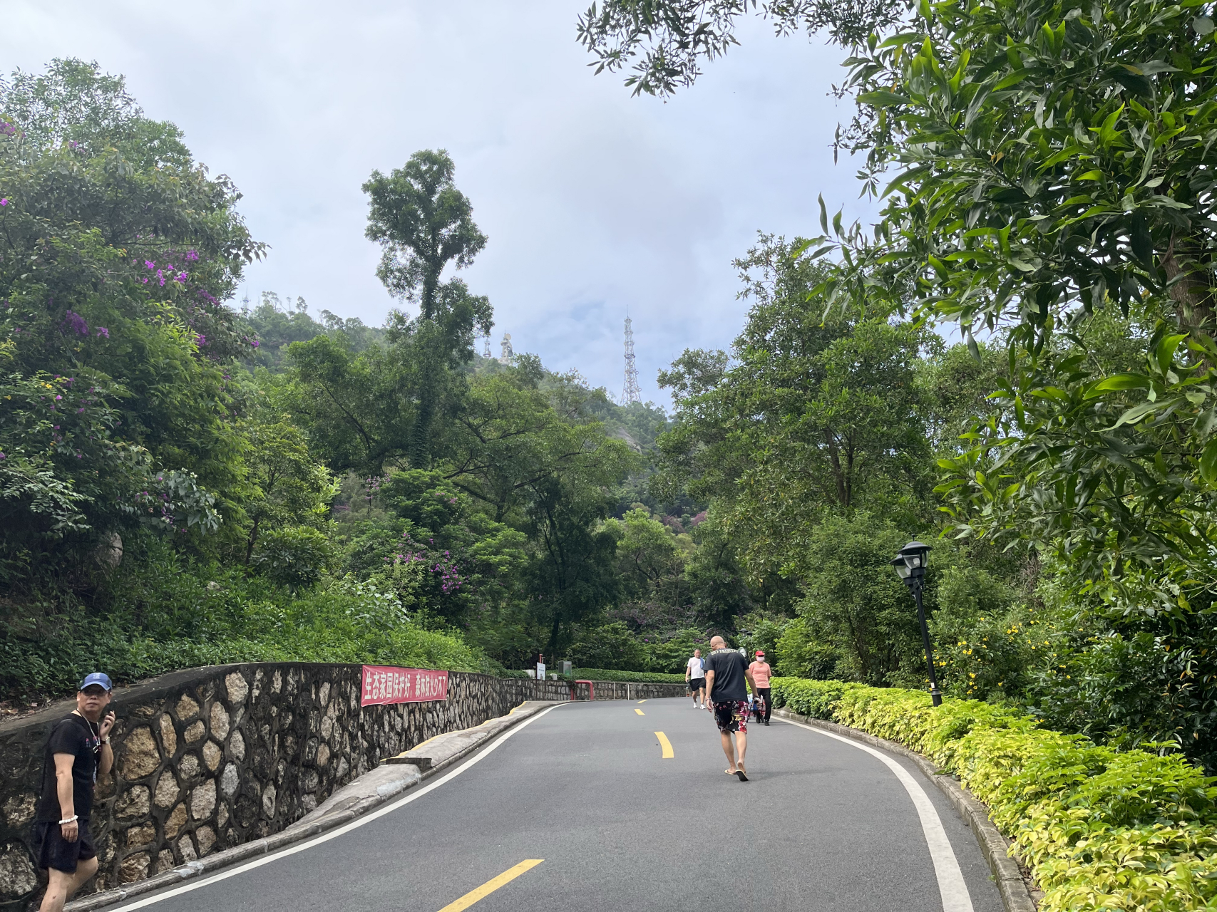 板障山森林公园 天然氧吧,更是一年春好色