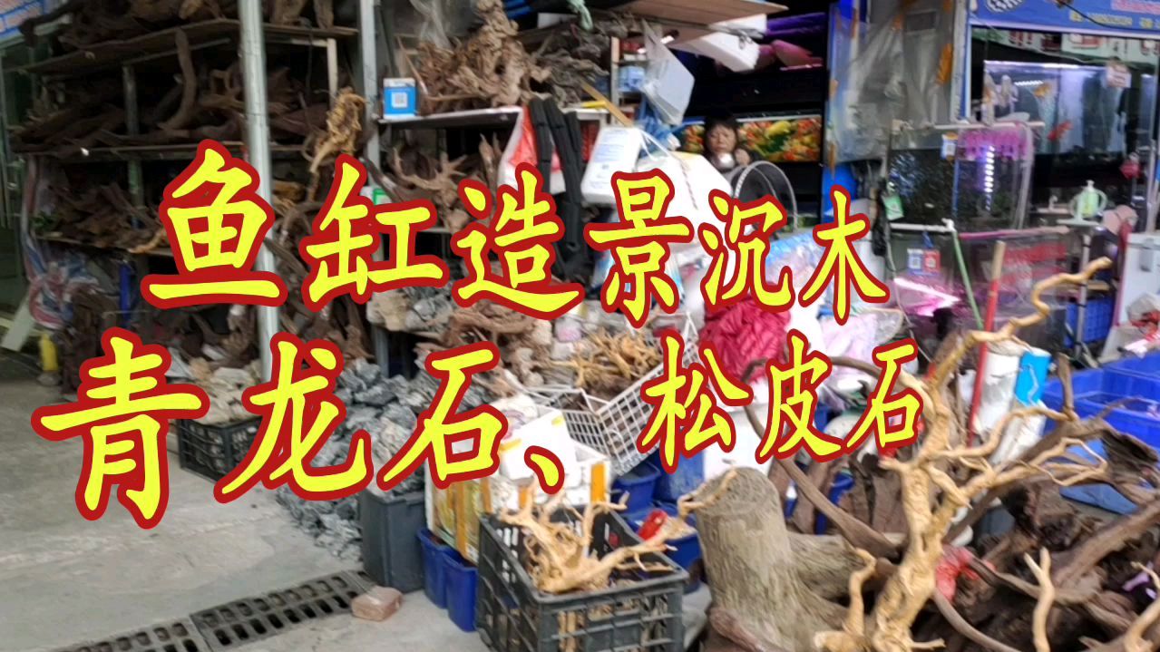 鱼缸造景常用的沉木有哪些?造景石头应该怎么选?松皮石什么价格