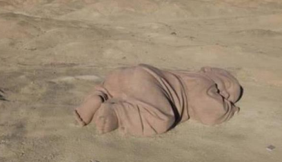 沙漠"巨婴",独自在戈壁上躺了4年,游客表示太可怜了