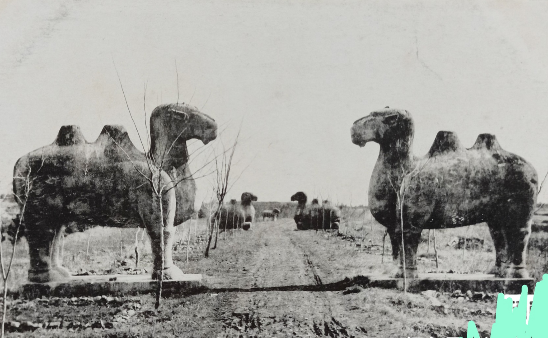 南京明孝陵神道骆驼～前代帝王陵墓从未出现骆驼石像, 据说是朱元璋用