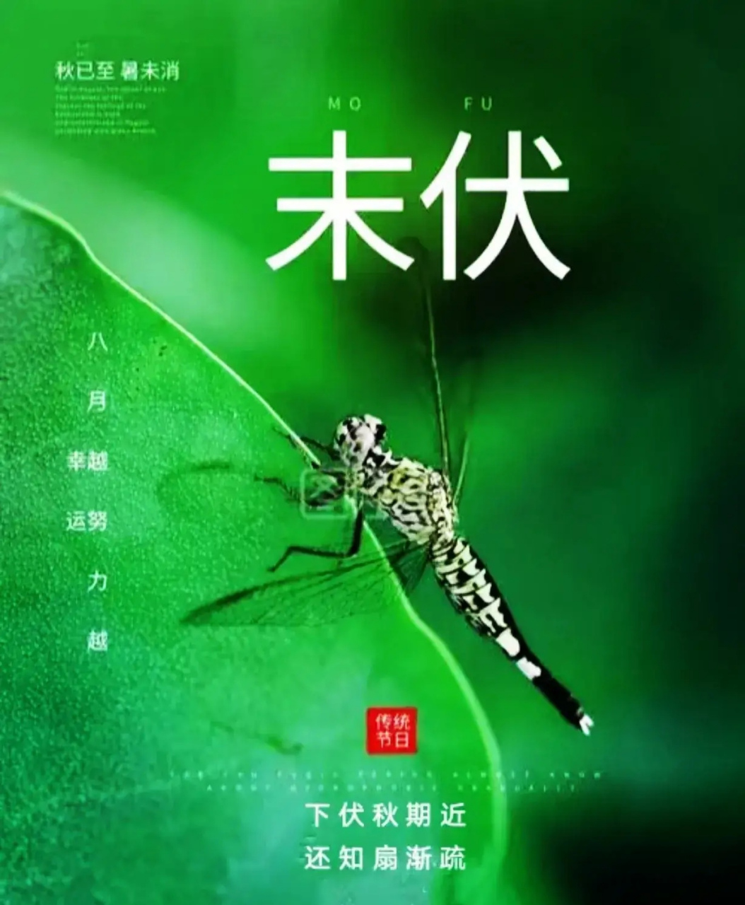 末伏,早晚较凉快,白天阳光依然剧烈