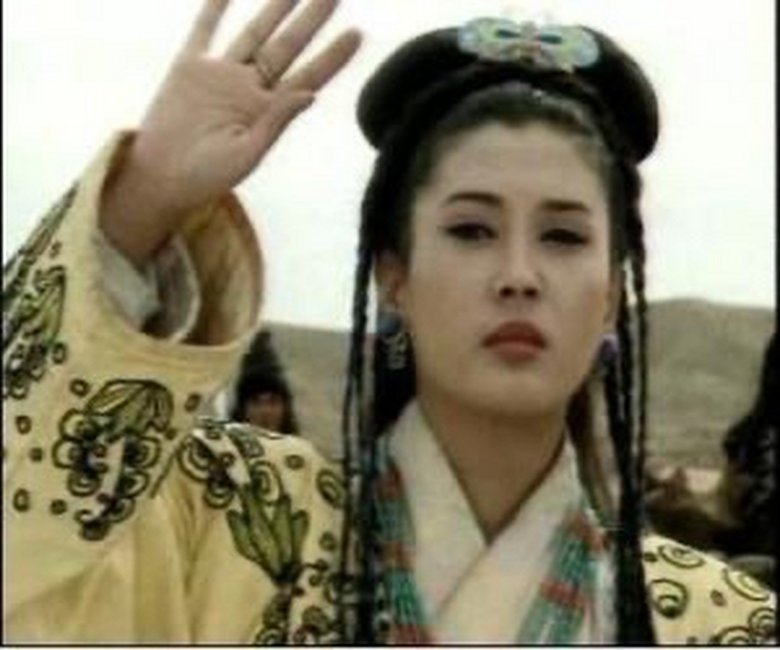 发现一部宝藏电视剧,90年代的《西夏王朝》,又名《贺兰雪》.