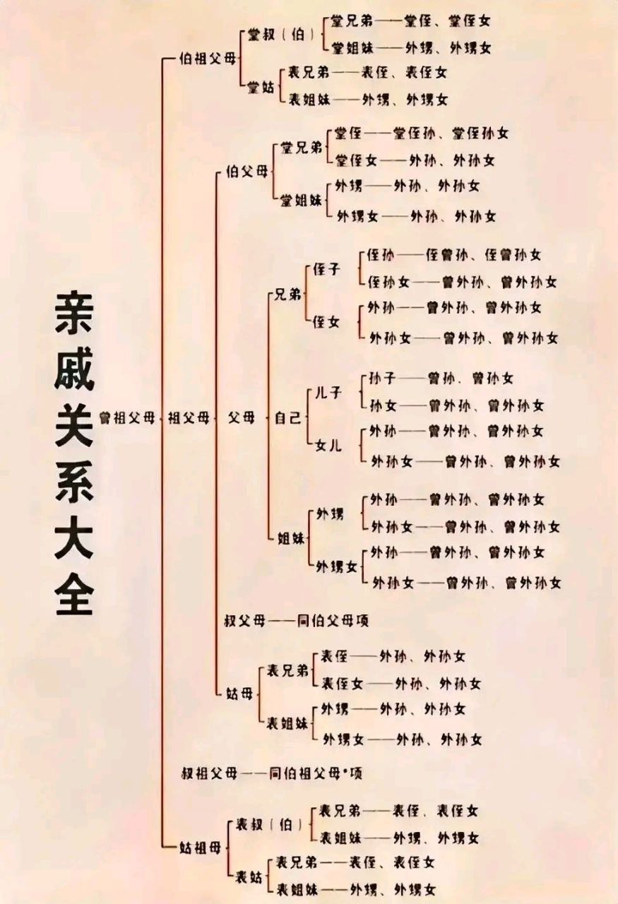亲戚# 中国亲戚关系图谱