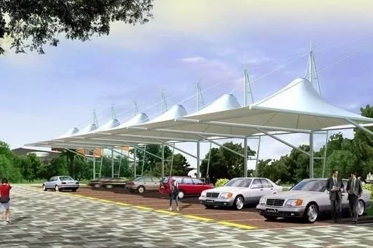 骨架与悬吊膜的完美结合.