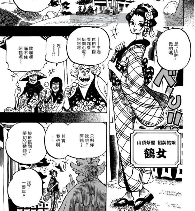 海贼王:小鹤年轻时和罗宾很像,锦卫门怕老婆,宣传图索隆很霸气