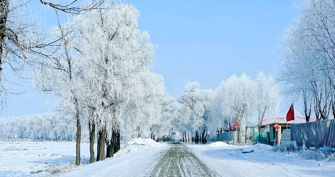 哈尔滨的雪景