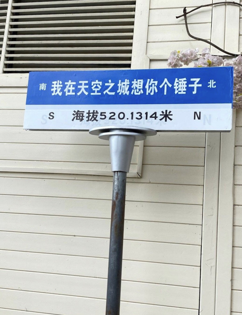 网红路牌 看看有你的城市吗