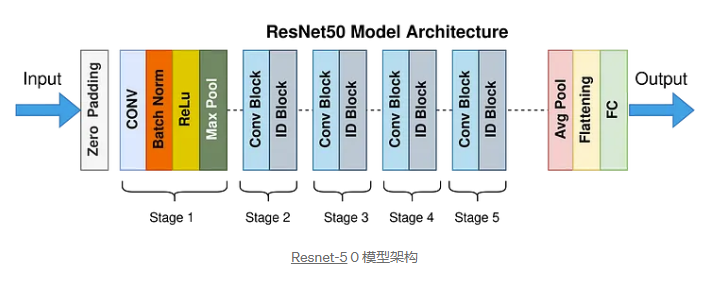 解释 resnet-50 的工作原理以及它为何如此受欢迎