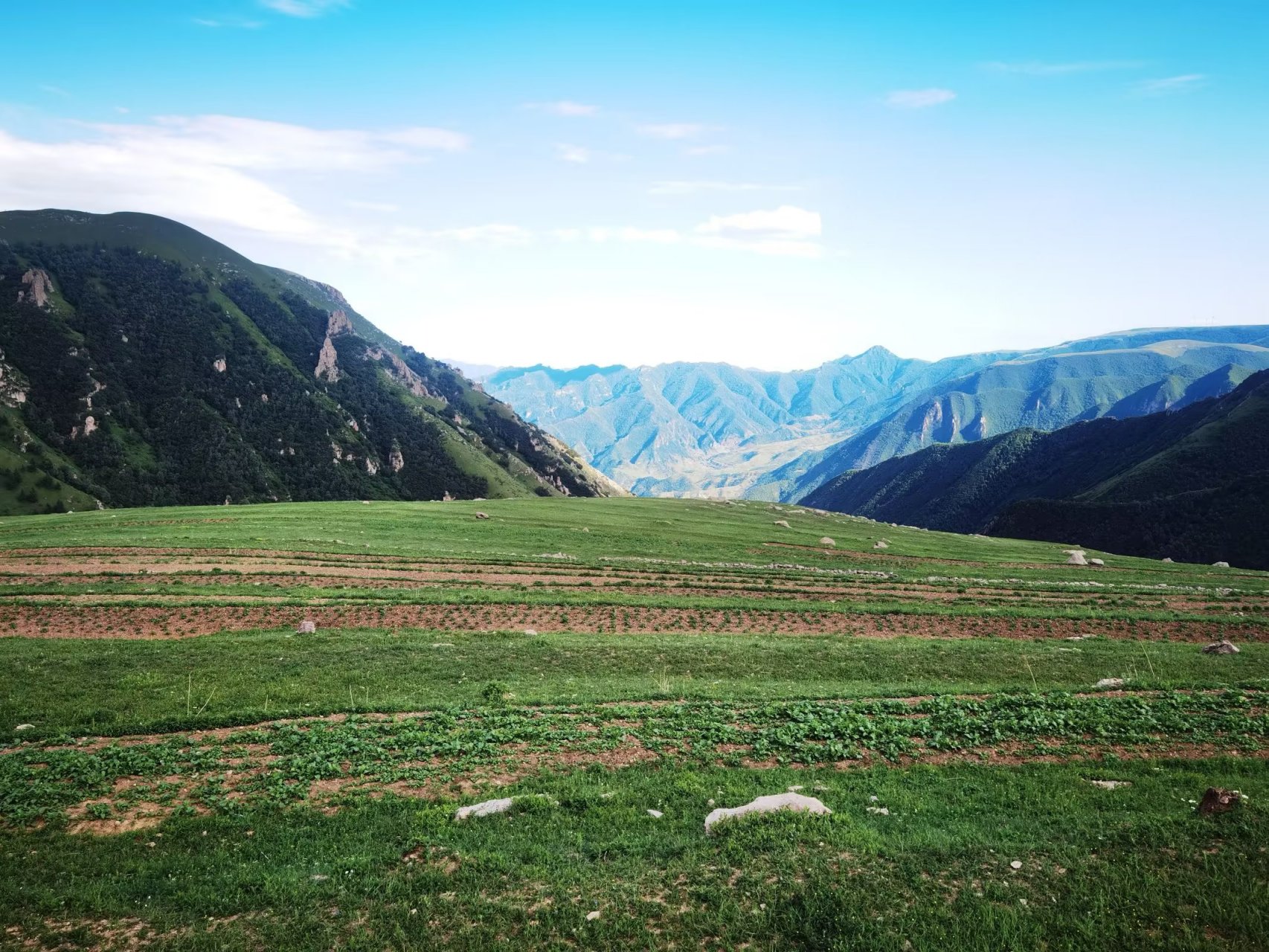 盛夏风景# 张家口蔚县茶山,是夏日避暑好去处.