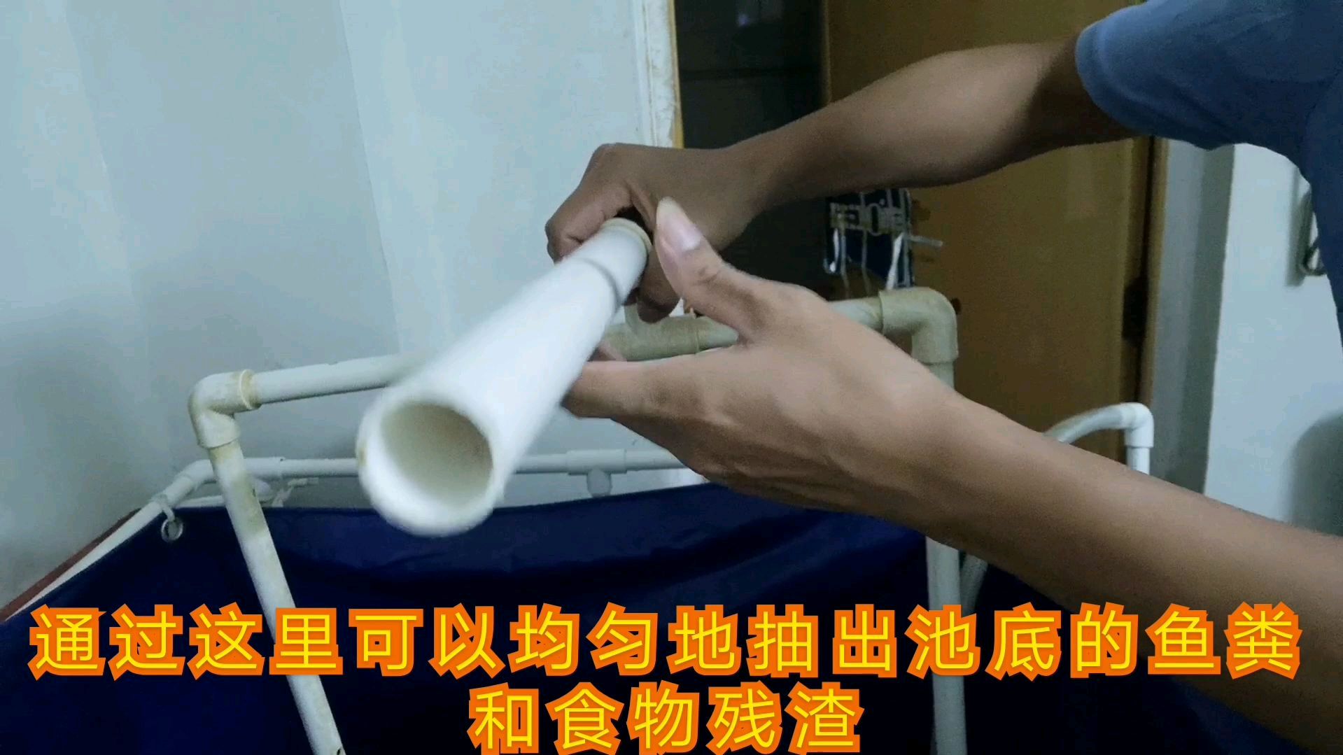 鱼池的循环水过滤系统怎么做?看完这个方案和原理,你也可以组建