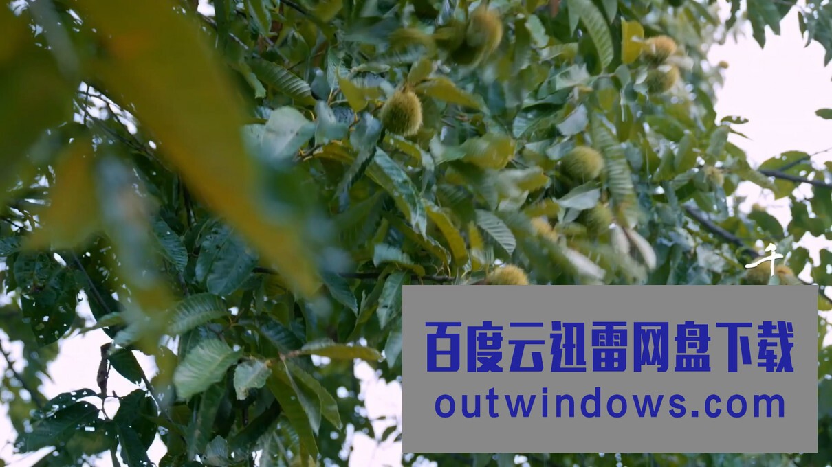 《千年陕菜：吹金镶玉》1080p|4k高清