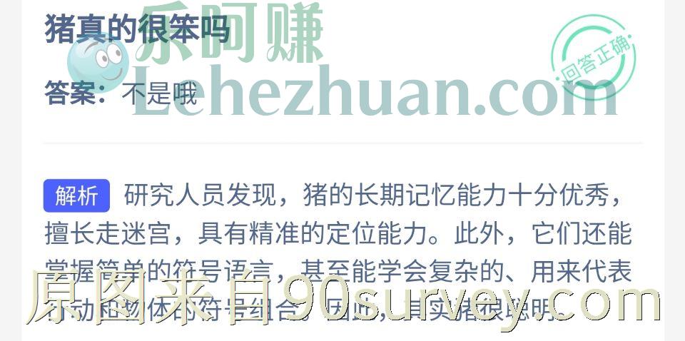 猪真的很笨吗?答案:不是 猪真的很笨吗?答案:不是