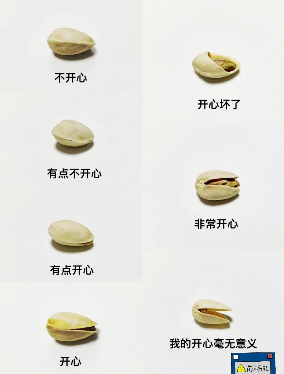 搞笑的开心果[滑稽]#趣图搞笑# #幽默