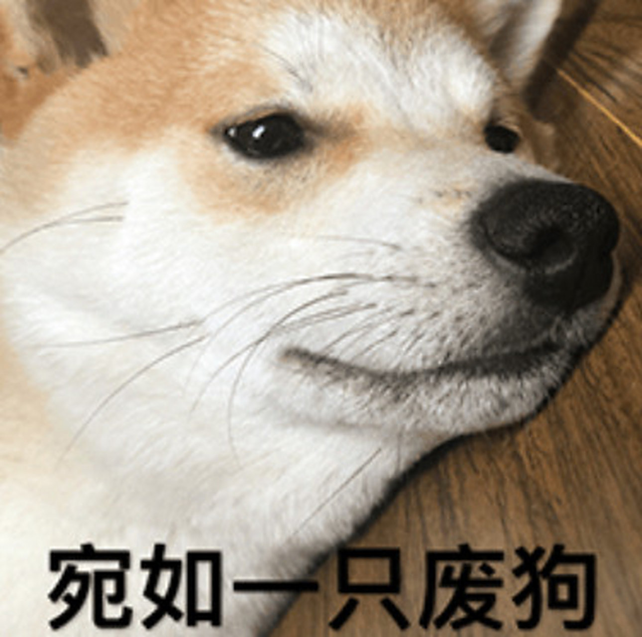 来姨妈腰酸背痛肚子疼 还要带娃 啊 我废了 [酸][酸][酸]