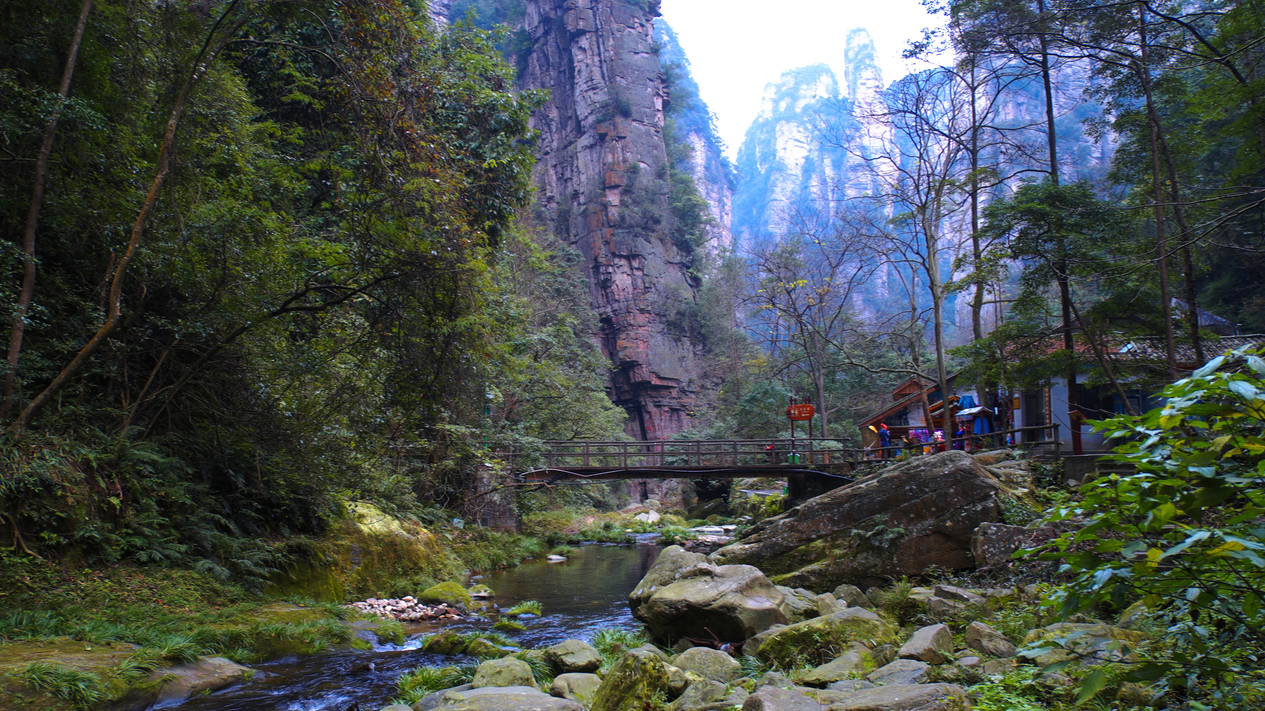 金鞭溪风景区图片