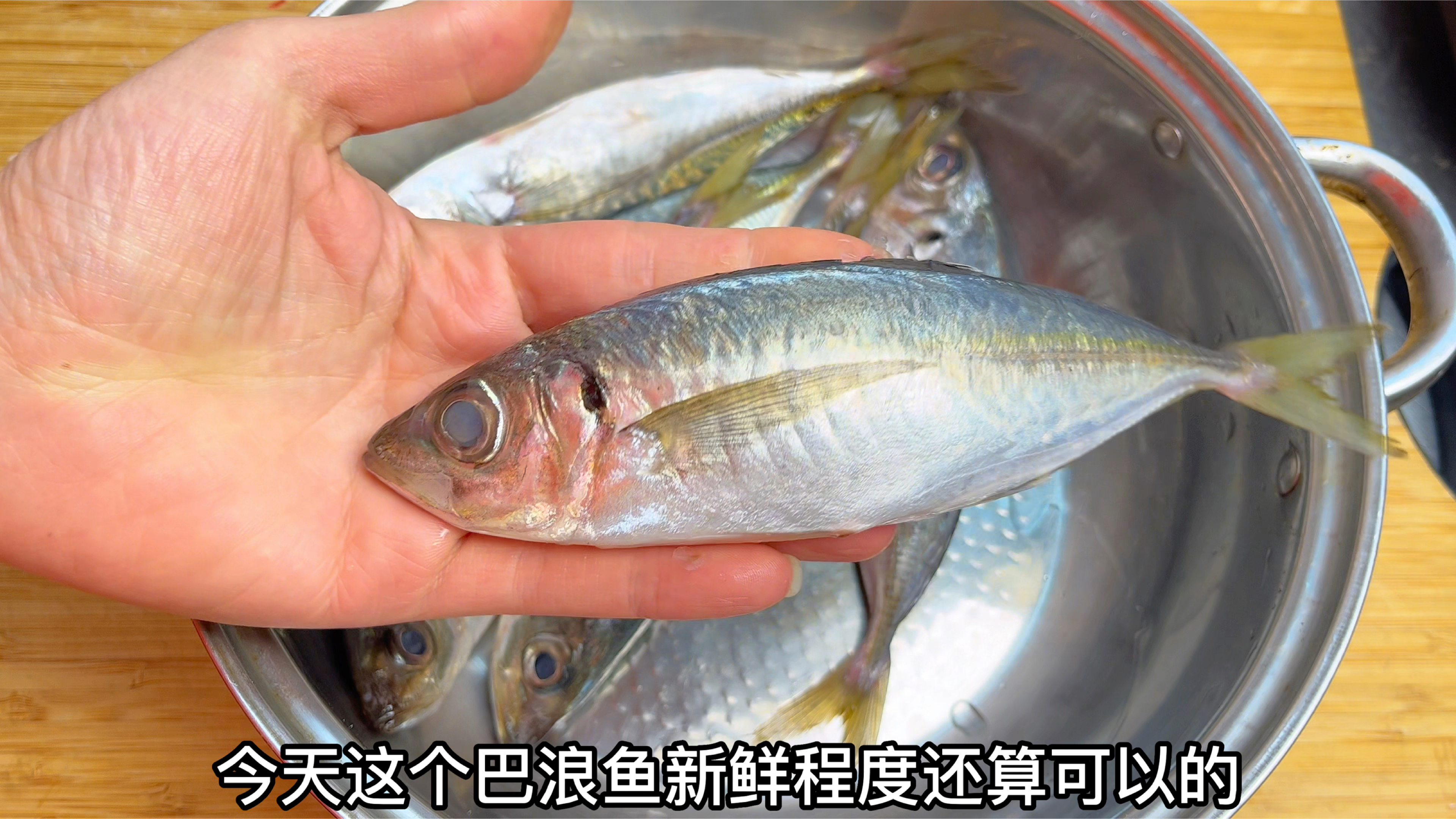 朋友送我6条巴浪鱼,做一道罐头巴浪鱼,酥香入味鱼骨都可以吃