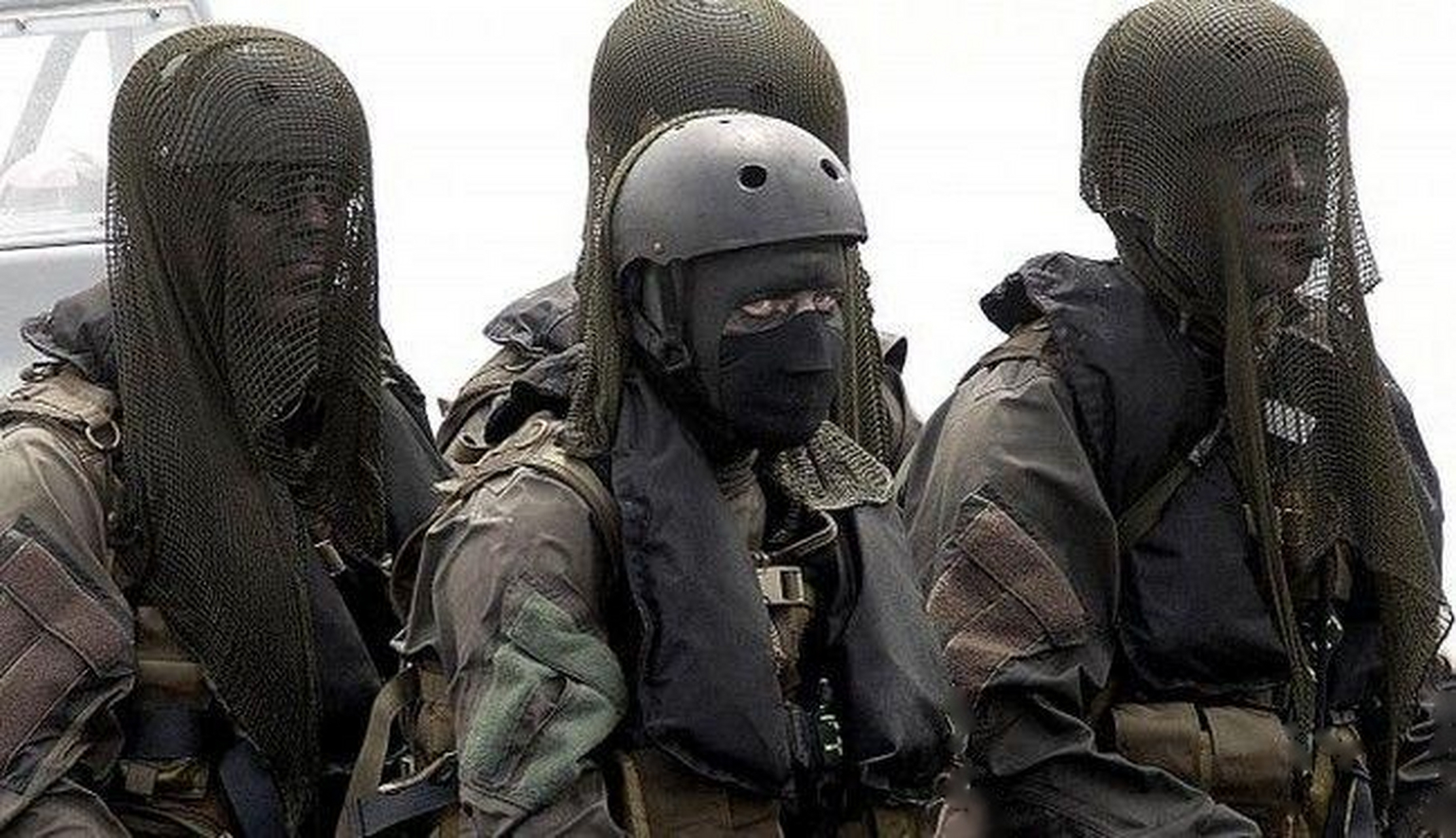 丹麦蛙人特种部队,一身装备均为水下作战设计,仿佛外星战士.