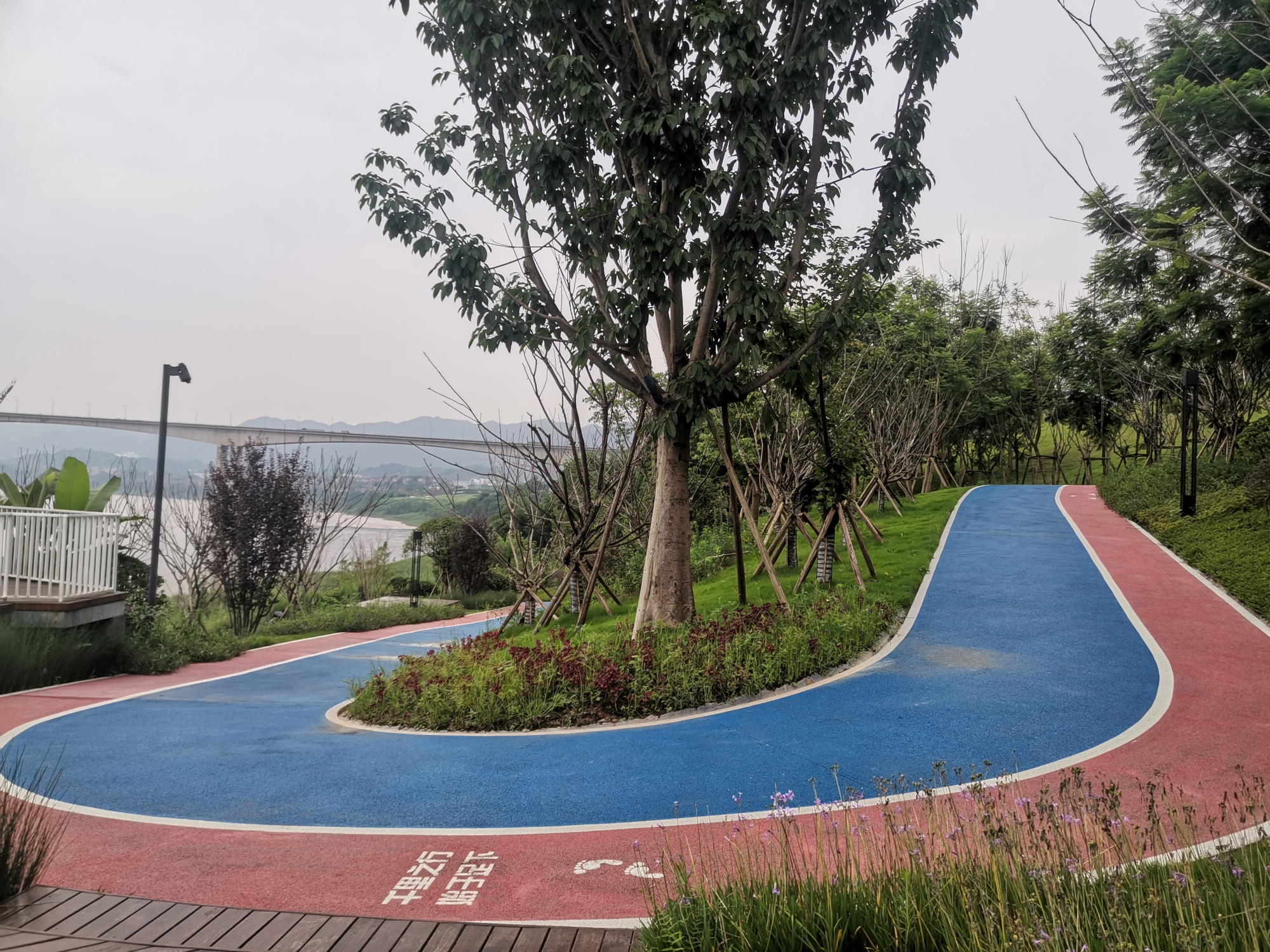 重庆蔡家废弃滨江公园,无人管理有些荒芜,大门紧闭为哪般