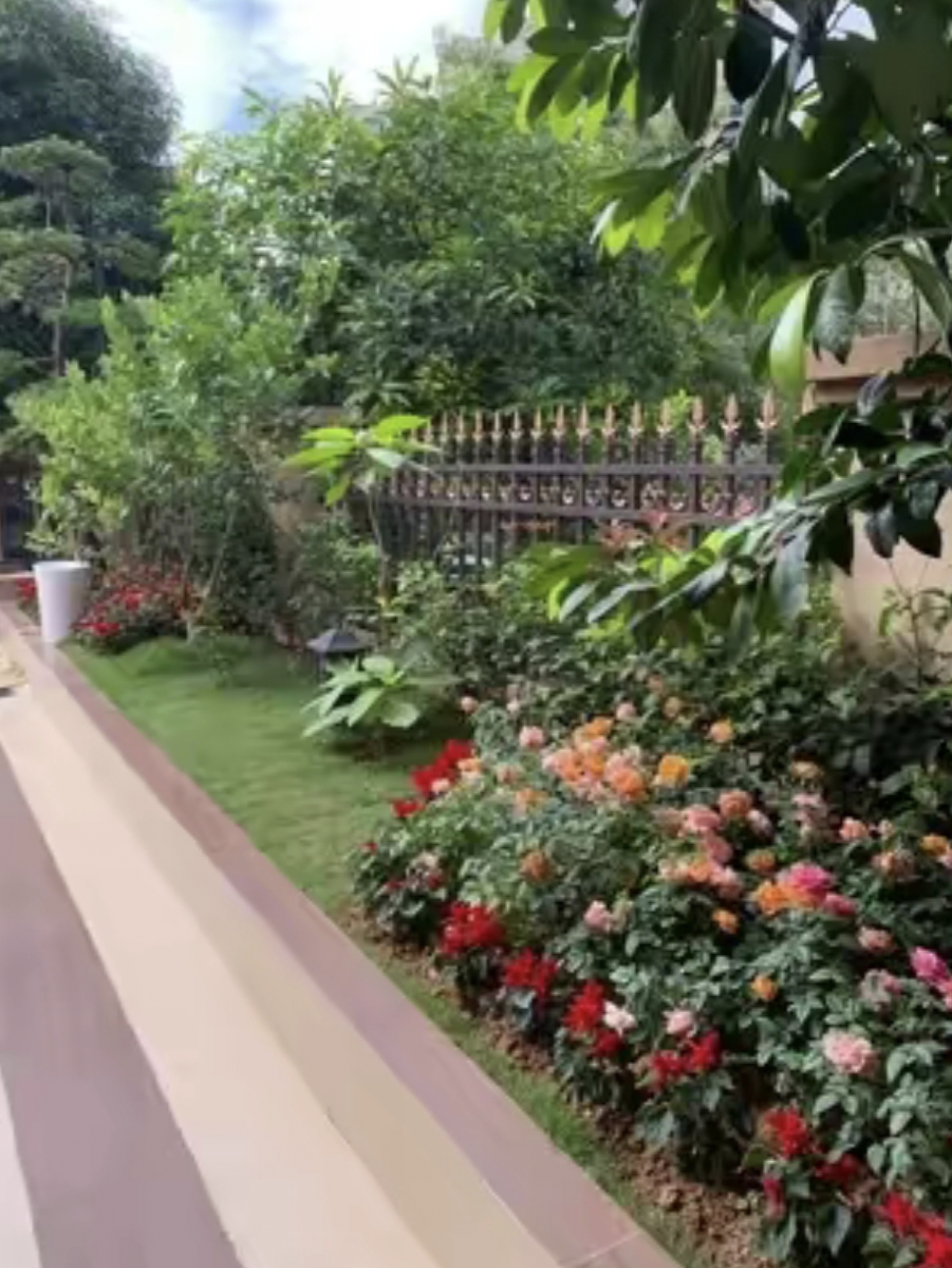 这别墅式自家小院菜园子你喜欢吗?