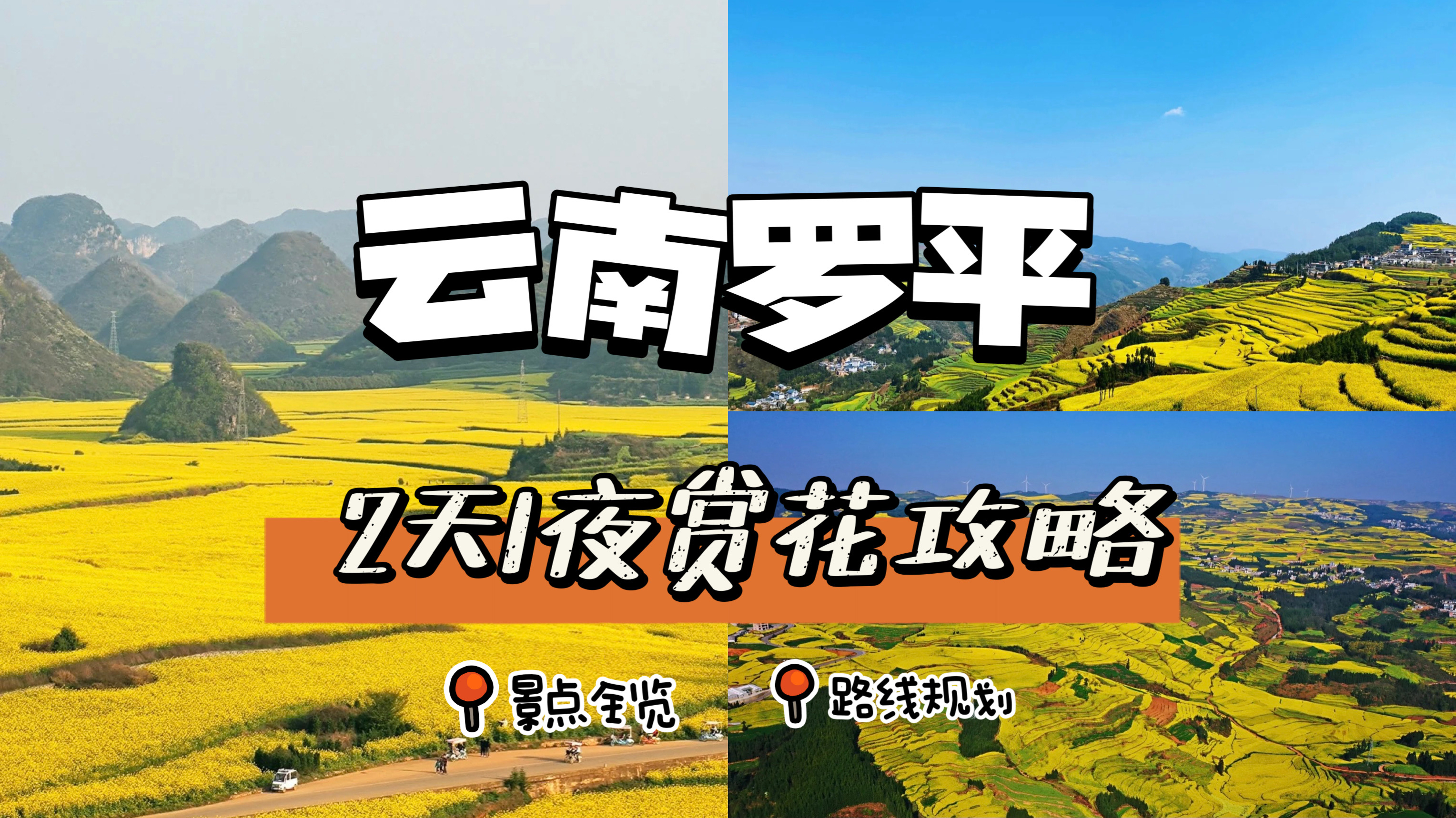 罗平赏花攻略|2天一夜人均¥300玩到爽