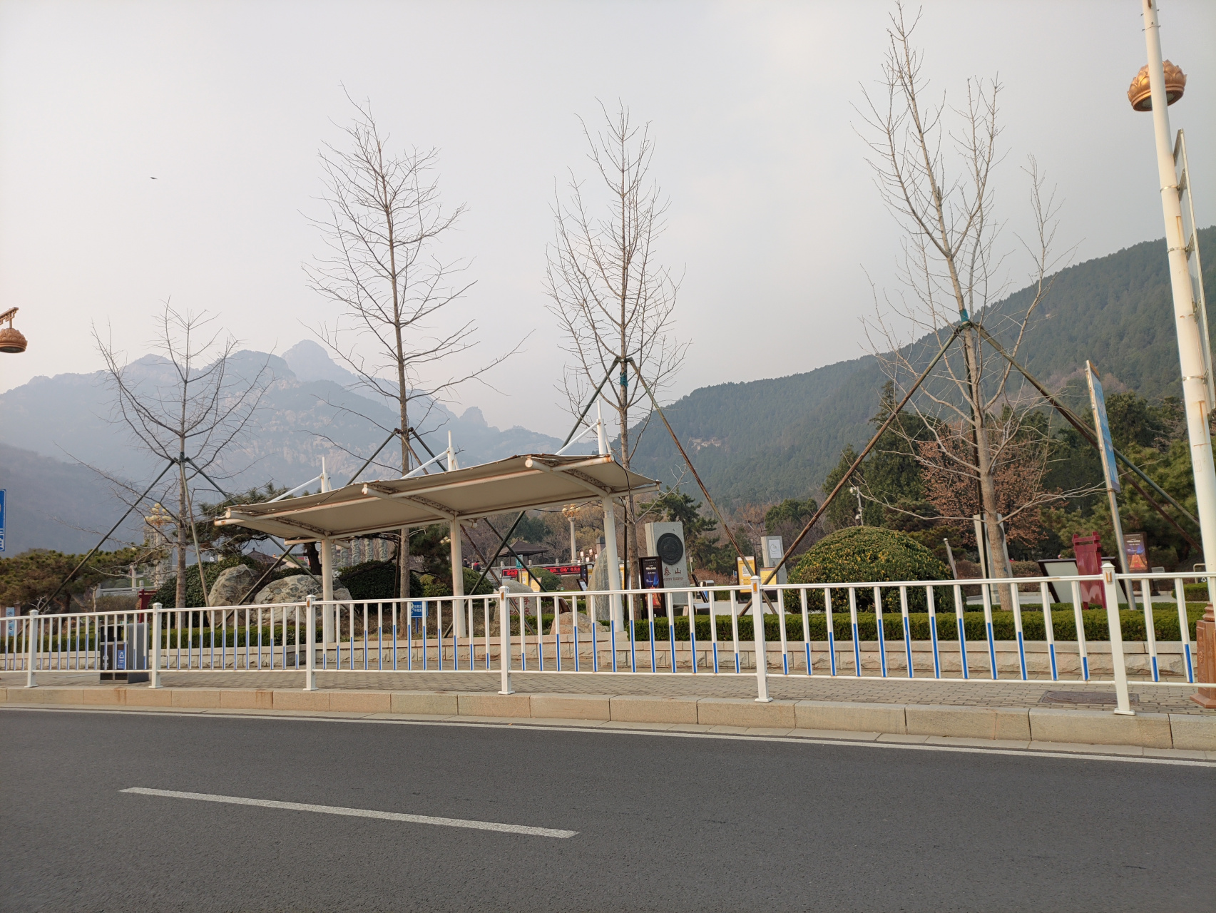 疫情下旅游业迎来春天了,终于放开了!