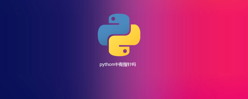 python中有指针吗