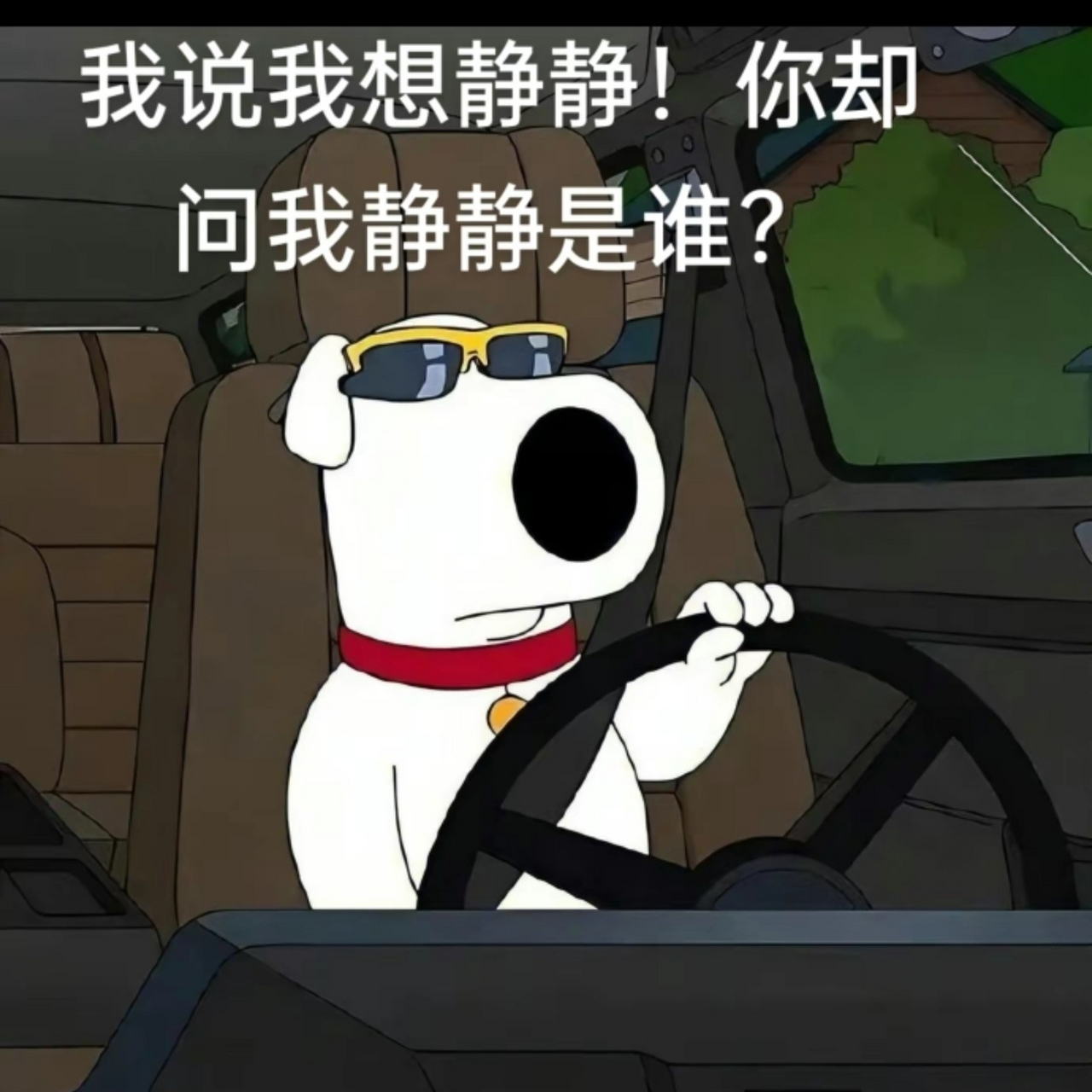 我说我想静静,你却问我静静是谁?