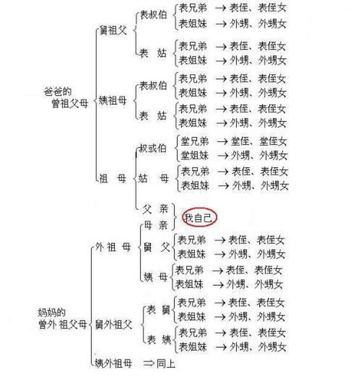 祖宗十八个代的称呼你们懂吗?