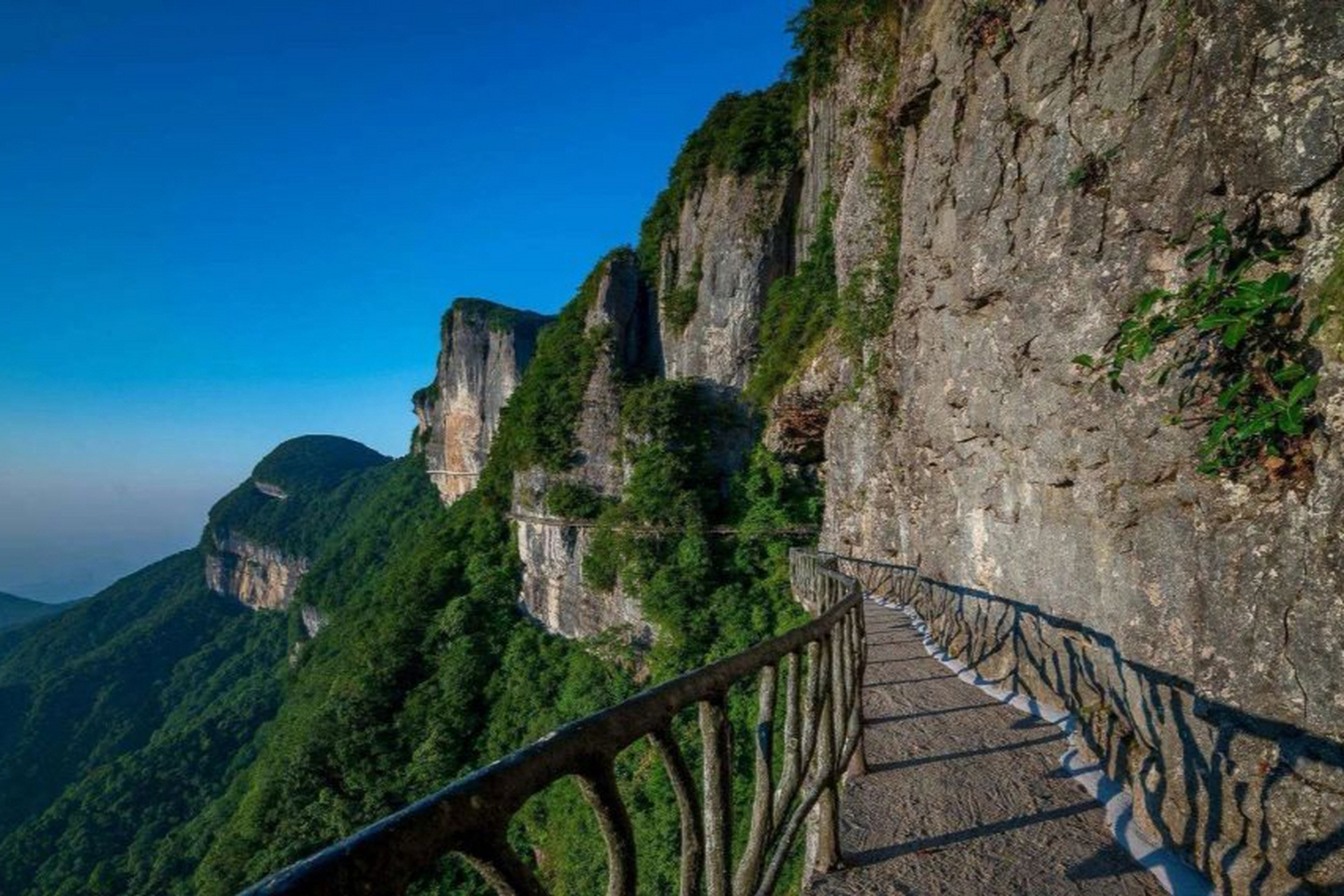 重庆金佛山:夏天的时候别提有多凉快了,简直就像个避暑天堂一样