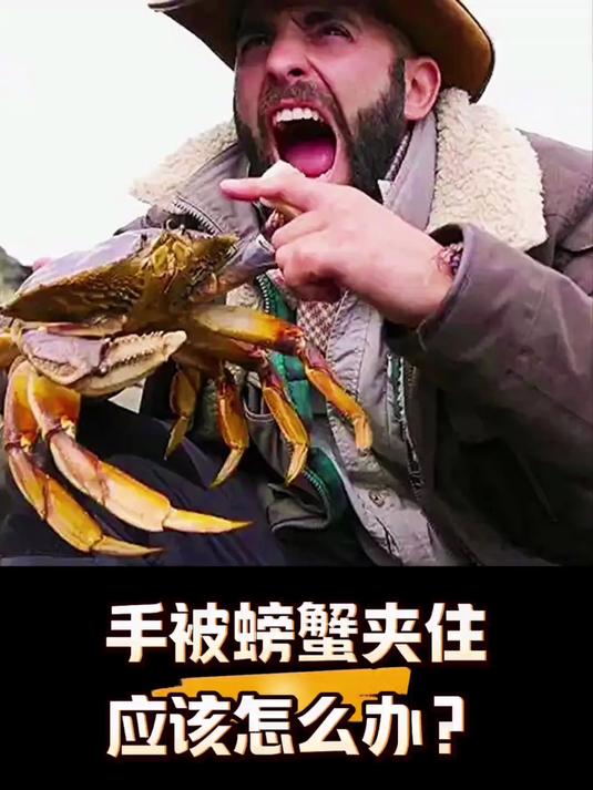 被螃蟹夹住,应该怎么办?