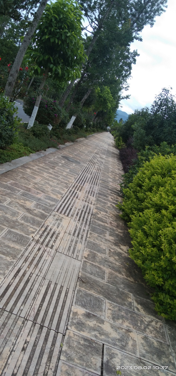 我来到施甸大酒店走走,感觉这里好气派.