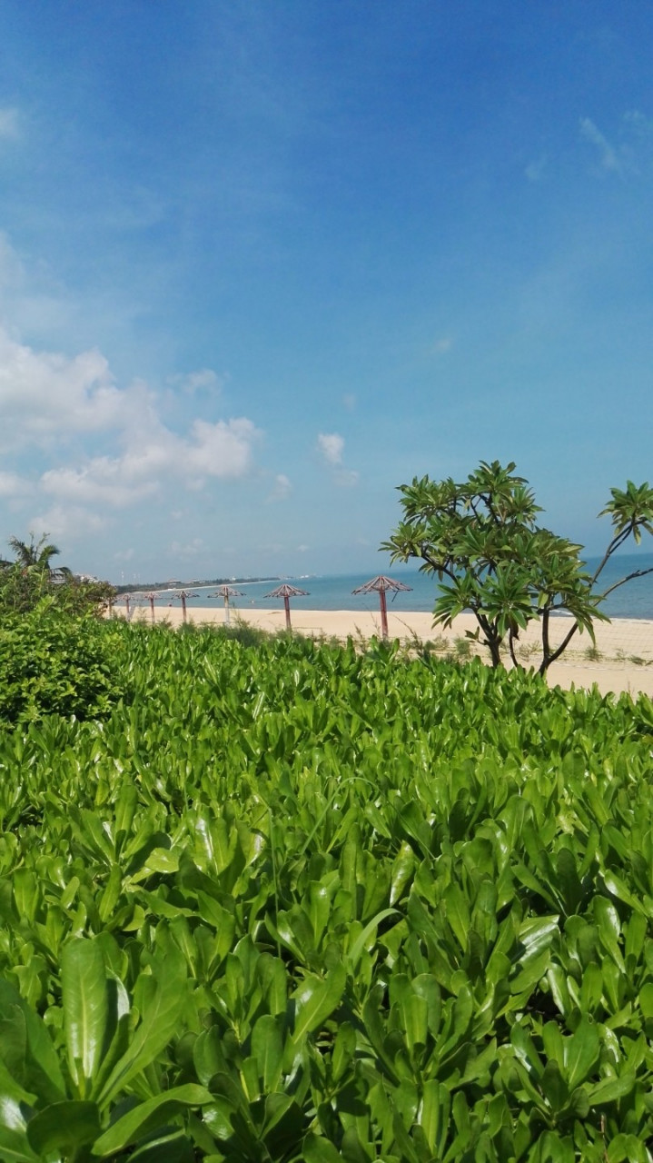海南盈滨半岛度假区