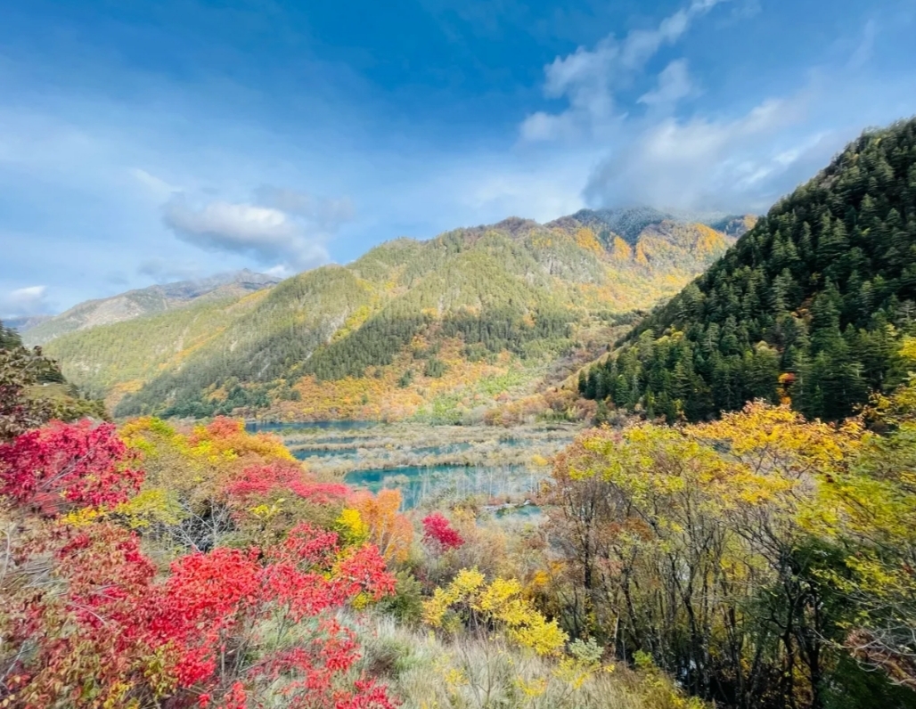 四川美景的天花板